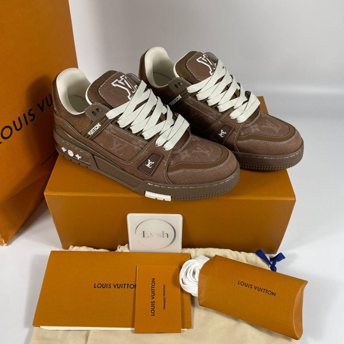 Louis Vuitton Skate Sneaker Brown